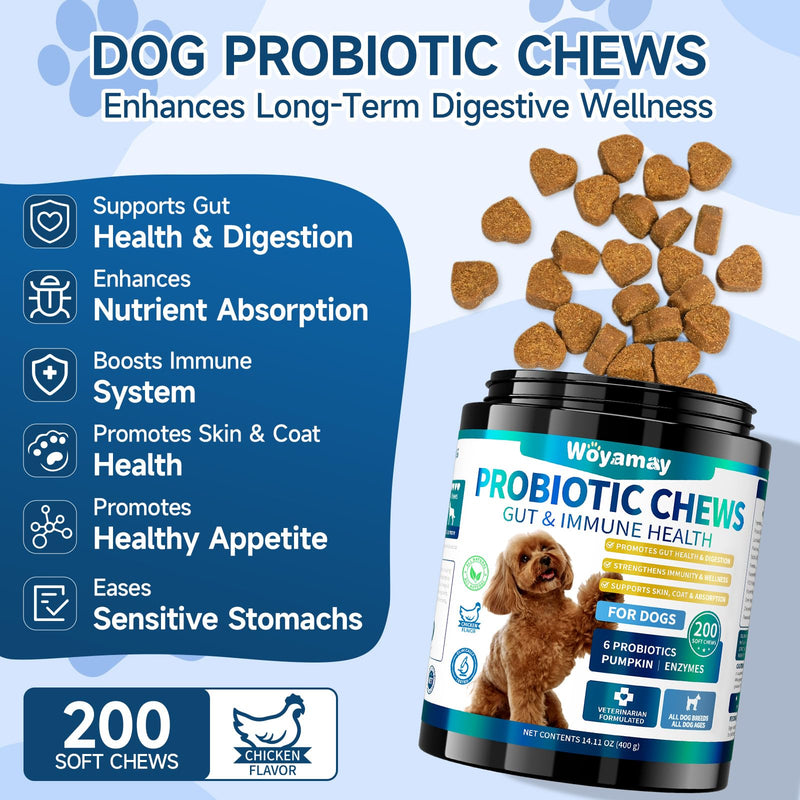 Woyamay Dog No Chew Spray & Probiotic Chews Bundle – Digestive Health + Behavioral Support for Dogs – Prevent Chewing, Licking & Biting While Supporting Gut Health, Immunity & Daily Comfort