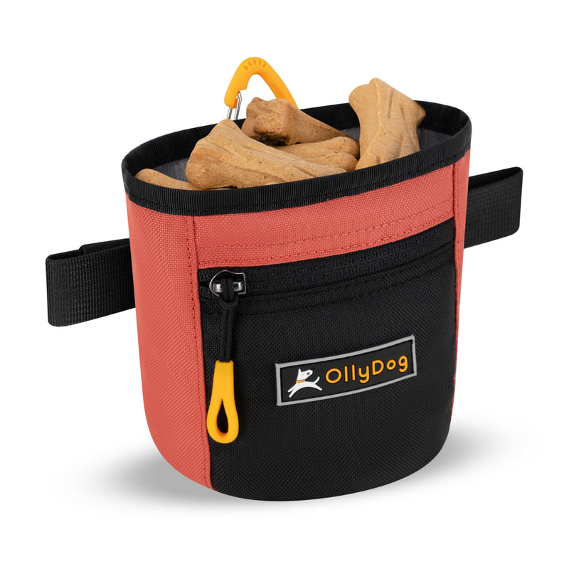 OllyDog Goodie Treat Bag, Dog Treat Pouch, Waist Belt Clip for Hands-Free Training, Magnetic Closure, Dog Training and Behavior Aids, Three Ways to Wear (Reef) Reef - BeesActive Australia