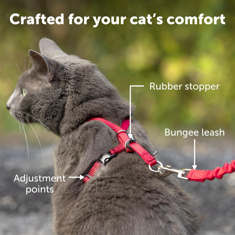 PetSafe Come with Me Kitty Harness and Bungee Cat Leash, Medium, Purple/Light Purple Medium (Pack of 1) - BeesActive Australia