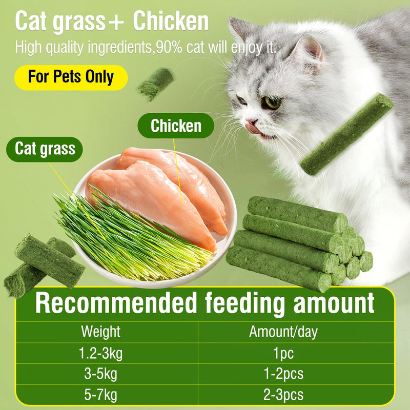 HavenJanny Cat Grass Teething Stick for Cat, Cat Grass Stick Canned for Indoor Cats, Cat Grass Treats Hairball Relief and Teeth Cleaning(1.76oz) 1.76oz - BeesActive Australia
