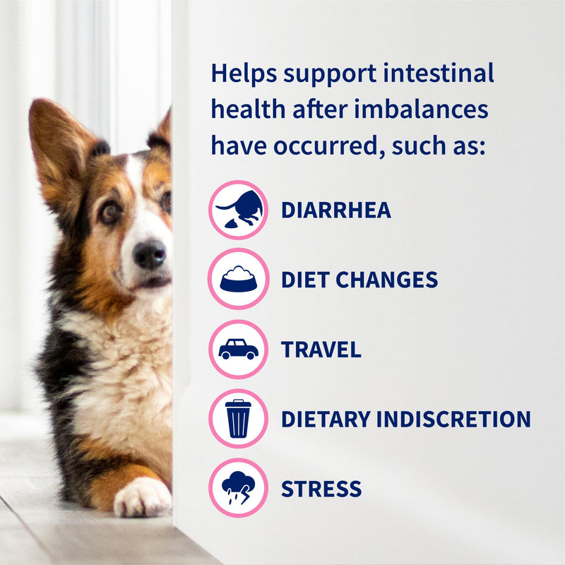 Nutramax Proviable Probiotics for Dogs, Diarrhea Support Kit, Digestive Health Supplement with Multiple Strains of Bacteria, Plus Prebiotics, Kaolin and Pectin, 30 ml Paste and 10 Capsules Dogs - 30 ml (Pack of 10)