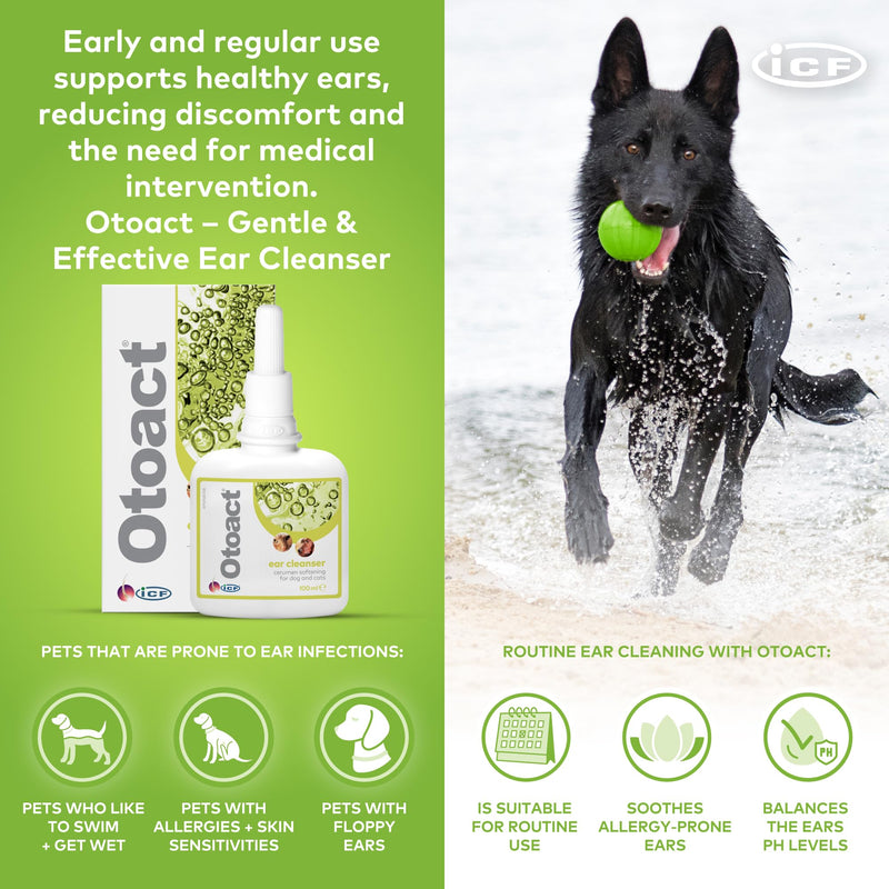 ICF | Otoact Ear Cleaner for Dogs and Cats | Gentle Ear Cleaning Solution | Helps Remove Wax & Odor | 100ml Dropper Bottle Single