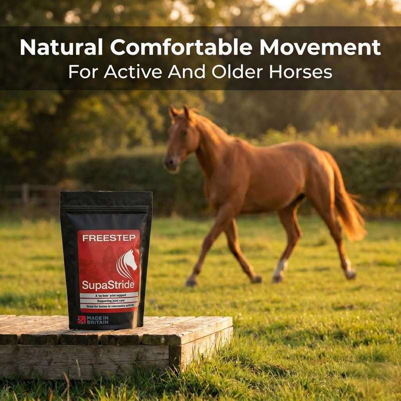 SupaStride | Horse Joint Supplement | Boswellia for Horses & Bromelain Powder | Hip & Joint Supplement for Horses, with Magnesium Oxide & Milk Thistle for Older Ponies and Arthritis 500g | 2 Months Supply
