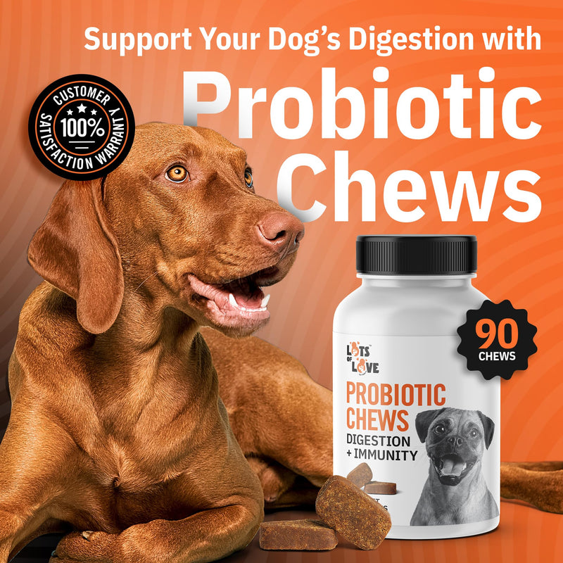 Dog Probiotic Chews (90 Count) - Dog probiotics for Digestive & Gut Health - Puppy Pro Biotic Supplement for Nausea, Vomiting & Diarrhea (90 Count) 90 Count