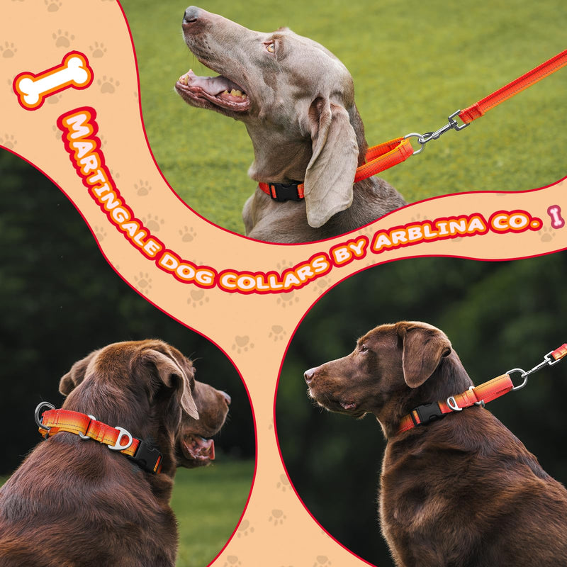 Arblina Martingale Dog Collar, Reflective Pull Stop Collar Dogs for Large Medium and Small Dogs, Nylon Pull Collar with Stop for Dogs Whippets, Greyhounds, Saluki, Orange, S - BeesActive Australia
