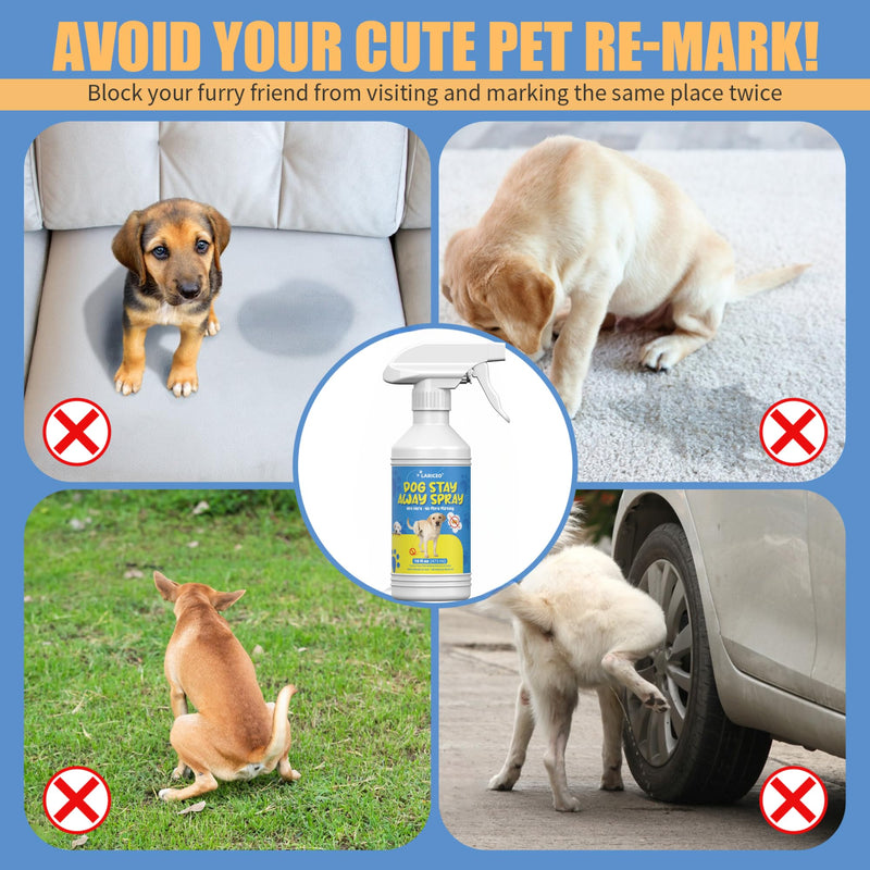16oz Gentle Dog Training Spray - Help Dogs Stop Marking in Your Home - Promote Good Behavior in Dogs - Safe Formula to Curb Unwanted Dog Urination Habits 16.0 Fl Oz