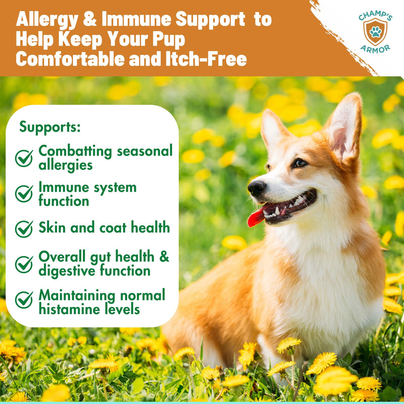 Allergy Relief for Dogs - Dog Itchy Skin & Dog Skin Allergies Treatment Chews with Natural Antihistamine, Colostrum, Salmon Oil, Probiotics for Seasonal Allergies Dogs - 120 Beef Flavor Soft Chews