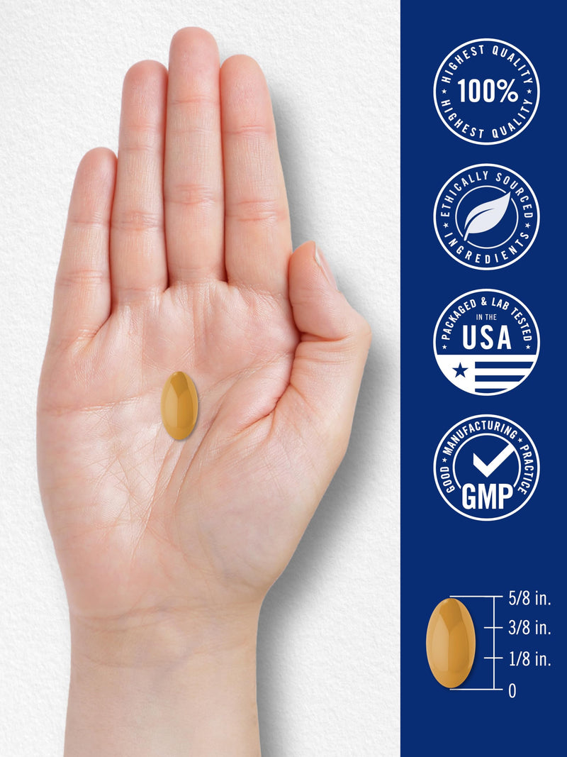 Carlyle Brain Nootropic Supplement | 60 Softgels | with Lion's Mane Mushroom, Bacopa and L-Theanine | Non-GMO, Gluten Free
