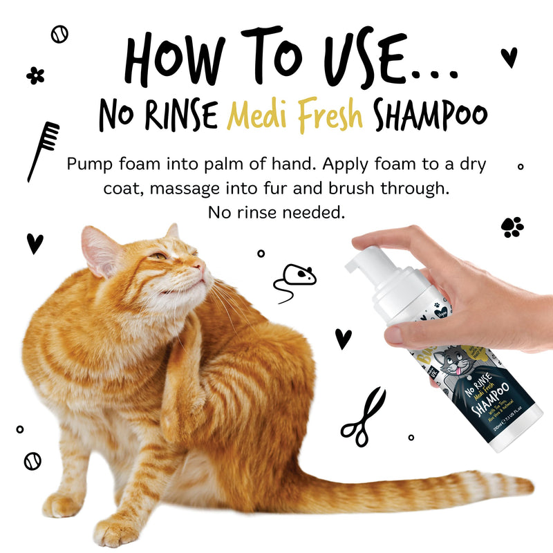 Bugalugs No Rinse Cat Shampoo for itchy skin with Tea Tree & Aloe Vera. Brush through, no rinse shampoo & conditioner for cats and kittens. Foam action grooming dry kitten (No Rinse Shampoo)