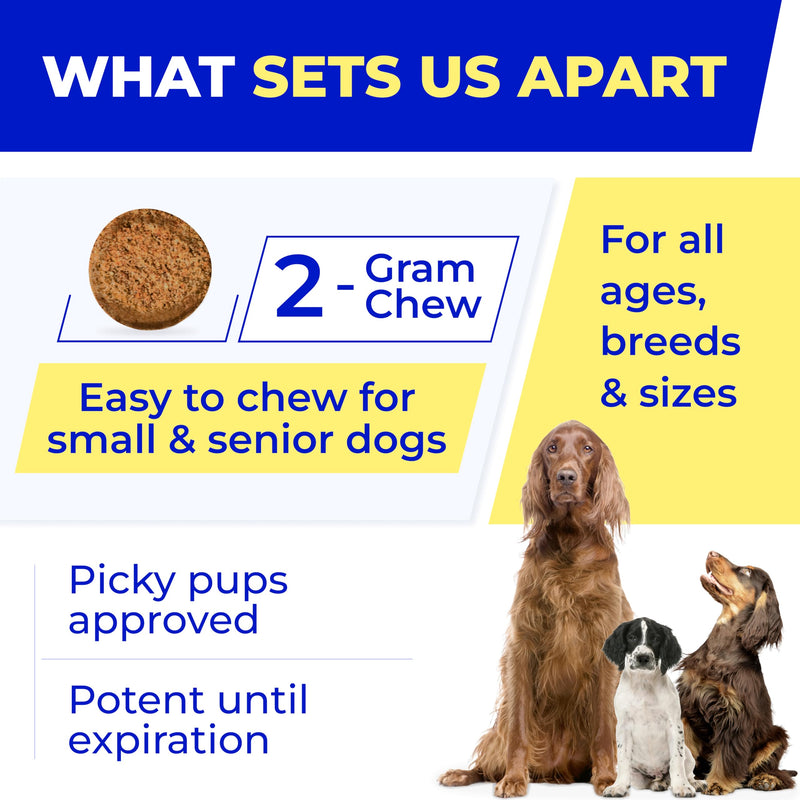 Vet Approved Probiotics & Digestive Enzymes for Dogs | Gut Health & Digestive Function Support | Pumpkin & Omega | Diarrhea, Seasonal Allergies & Itching | Prebiotic Supplement Chews Probiotics & Enzymes 120 Digestive Chews - BeesActive Australia