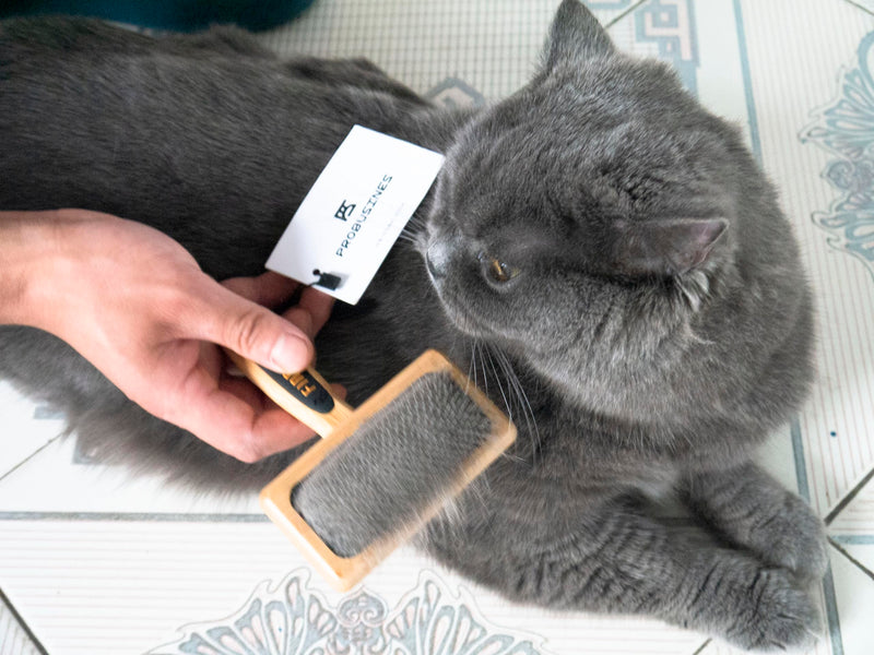 PROBUSINES-Pet Grooming Bamboo Comb Premium Carbonized Bamboo Drip Plastic Handle with Professional Stainless Steel Bent Needle Pins for Dogs and Cats Pet Bruch (large) - BeesActive Australia