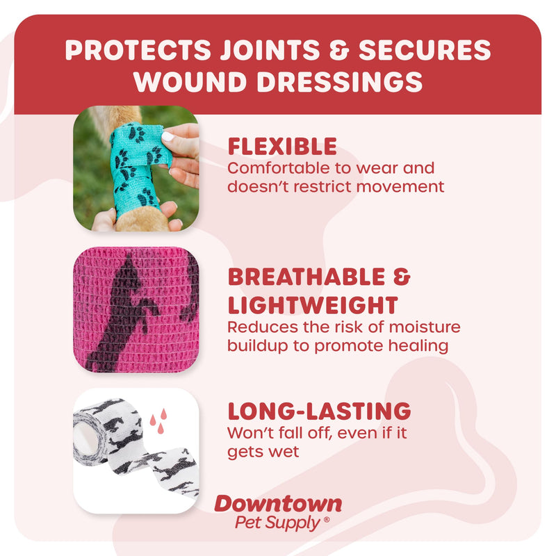 Cohesive Vet Wrap for Dogs, Self Adhesive Bandages in Bulk, Pet Cat Wound Care, Gauss Bandage for Horses by Downtown Pet Supply (Rainbow Horse, 10 Pack) Rainbow Horse - BeesActive Australia