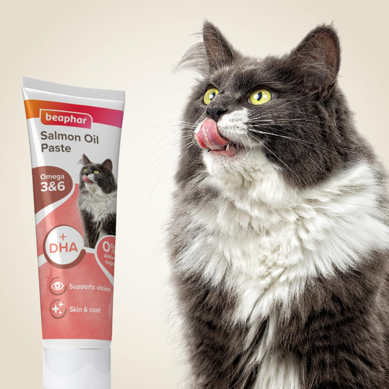 Beaphar - Salmon Oil Paste for Cats - Promotes Glossy, Shiny Coat - Supports Vision & Overall Health - Contains Omega 3 & 6, and DHA – Sugar & Grain-Free – Treat For Cats of All Ages & Breeds - 100g