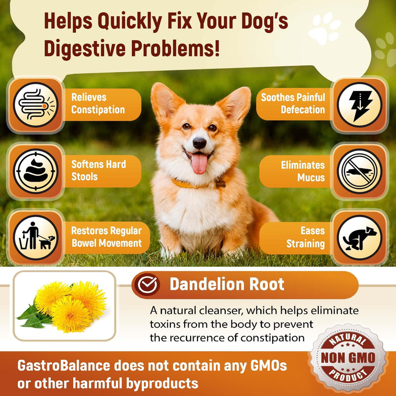 dog constipation treatment – Stool softener recommended by vet (Chicken flavour) Chicken flavour