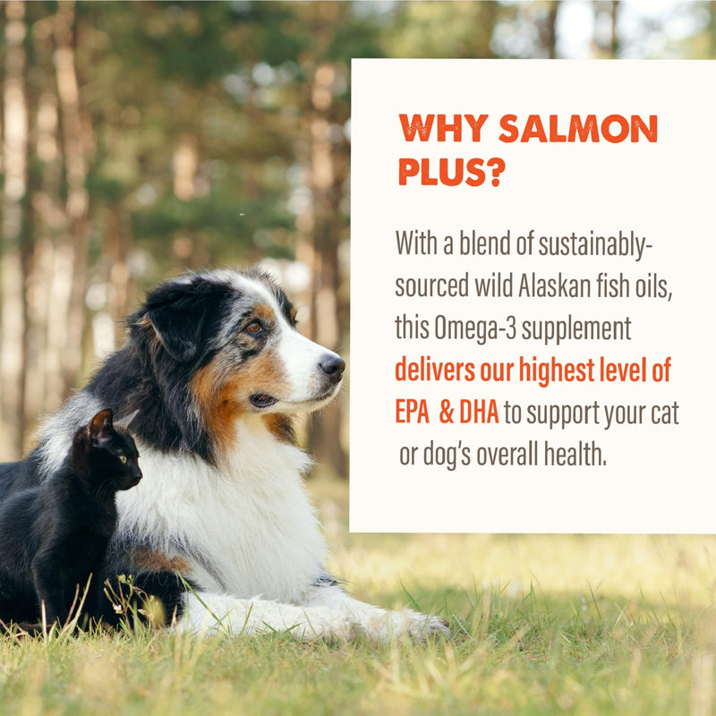 Grizzly Pet Products Salmon Plus Omega 3-6-9 Food Supplement for Dogs and Cats, 32 Ounce