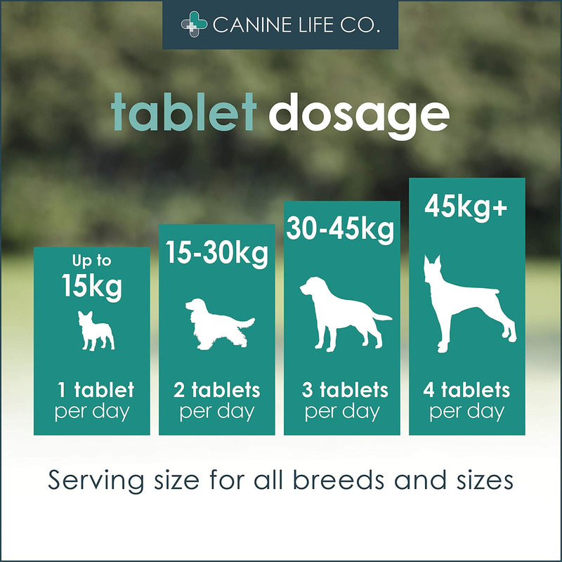 Enhanced Adult Dog Joint Supplements With Turmeric, Glucosamine & Green Lipped Mussel | 120 Chewable Tablets | Made In The UK (1 Pot (120 Tablets)) 1 Pot (120 Tablets)