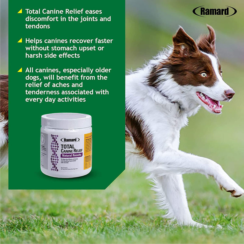 Total Canine Relief - Tasty Soft Chews for Total Canine Relief: Muscle Formula, Joint Care, and More - Healthy Chewable Tablets for Daily Wellness and Agility Support - 45 Chews 1 Pack - PawsPlanet Australia
