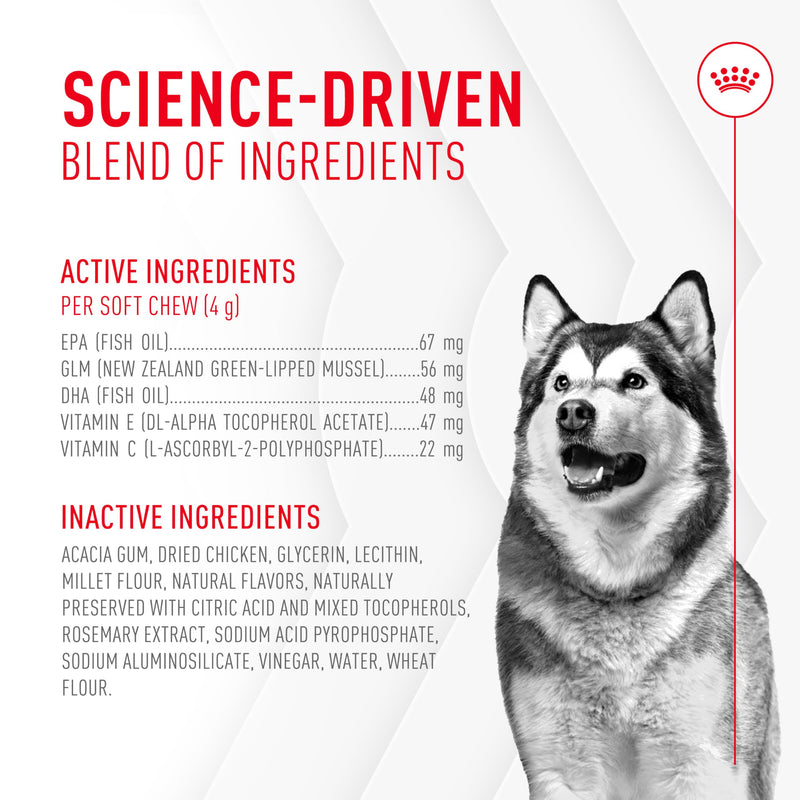Royal Canin Joint Dog Supplement Soft Chews for Adult Dogs, 60 Count 8.47 Oz