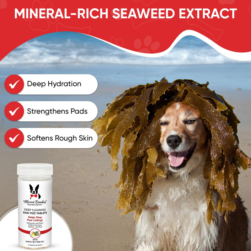 Warren London Deep Cleaning Paw Soak for Dogs – 30 Count Fizz Balls | Soothes Itchy, Irritated Paws with Seaweed, Tea Tree Oil & Aloe | Anti-Lick Paw Relief & Easy 5-Minute Spa 30 Balls