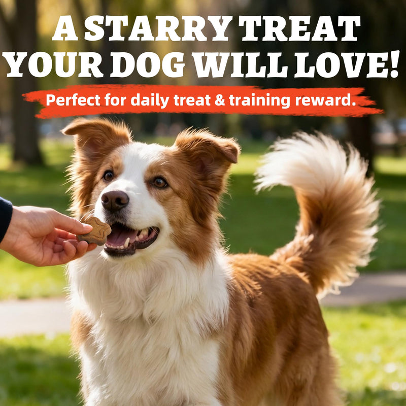 Just Try 15 OZ Salmon Oil Dog Treats Skin and Coat Health for Dogs Omega 3 Fatty Acids Puppy Training Treats Healthy Dog Treats