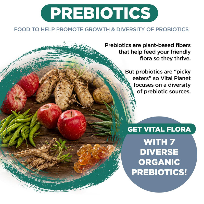 Vital Planet - Vital Flora Ultra Daily Probiotic 60 Billion CFU, 60 Diverse Strains, 7 Organic Prebiotics, Immune Support, Digestive Health Shelf Stable Probiotics for Women and Men 30 Capsules