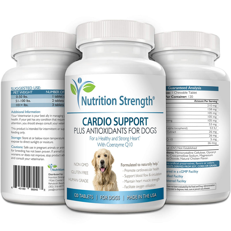 Cardio Support for Dogs Plus Antioxidant, L-Carnitine, L-Taurine, with Coenzyme Q10 and Vitamin E, Promotes a Healthy and Strong Dog Heart, 120 Chewable Tablets - BeesActive Australia