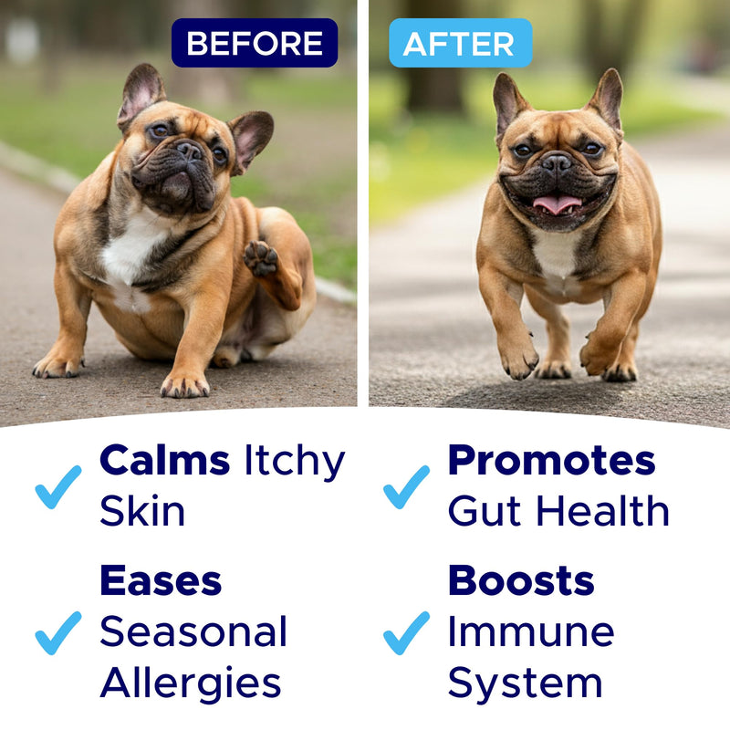 Itchy Dog Skin Relief - Allergy Support Chews - Skin & Coat Supplement - Omega 3 Fish Oil - Itching & Paw Licking - Dry Skin & Hot Spots - 90ct/Pork 90 Soft Chews