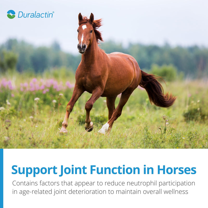 PRN Pharmacal Duralactin Equine Joint Pellets - Joint Health Supplement for Horses That Helps Maintain Healthy Cartilage, Joint Function & Manage Chronic Soreness - 1.875 lbs - BeesActive Australia