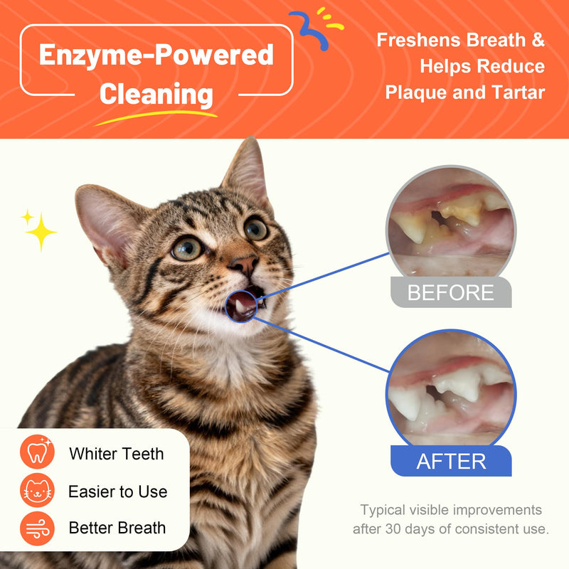 Cat Toothbrush and Toothpaste Kit - Salmon Flavor Enzymatic Cat Toothpaste for Plaque & Tartar Control - Includes a Long Handle Brush & a Soft Silicone Finger Brush for Felines, 1.06 oz