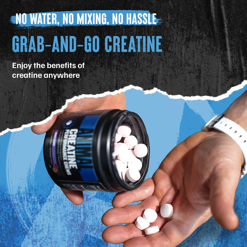 Animal Creatine Chews Tablets - Enhanced Creatine Monohydrate with AstraGin to Improve Absorption, Sea Salt for Added Pumps, Delicious and Convenient Chewable Tablets - Fruit Punch Creatine - Fruit Punch 120 Count (Pack of 1)