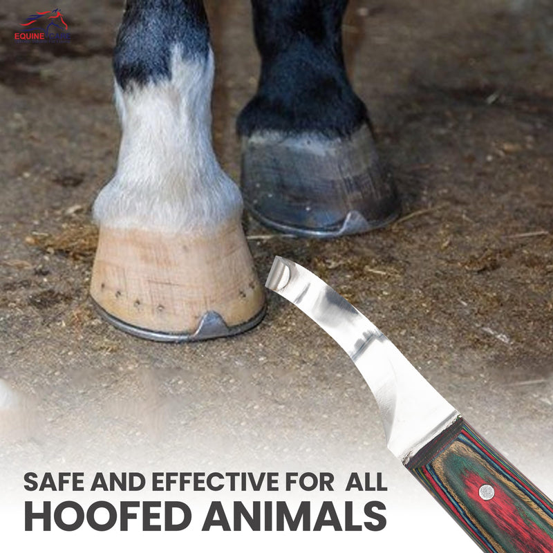 Right-Handed Hoof Knife: Razor-Sharp J2 Steel Blade, Comfort Grip - Ultimate Precision Trim & Grooming Farrier Tool for Superior Horse Hoof Care. - BeesActive Australia
