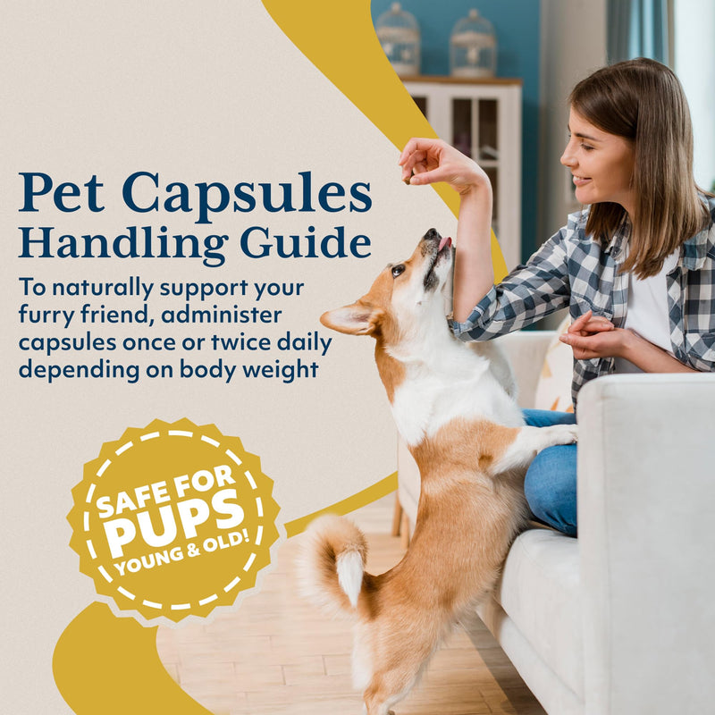 Ayush Pet Mobility, Curcumin Supplement for Healthy Joints, Pure and Powerful Joint, Digestion, and Brain Support, Large or Small Pets, 90 Capsules - PawsPlanet Australia