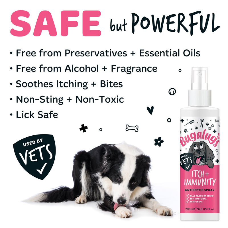 BUGALUGS Itch & Immunity Antiseptic Spray – Helps Soothe Itchy Skin, Paws, Ears - Licking, Scratching - Perfect for Small, Medium & Large Dogs