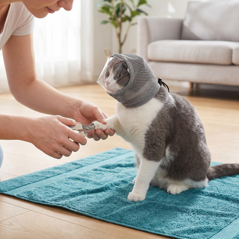 Adjustable Cat Muzzle for Grooming (Size S), Breathable Transparent Pet Cat Mask Helmet, Anti-Bite Head Cover Hood for Nail Trimming, Bathing and Vet Visits