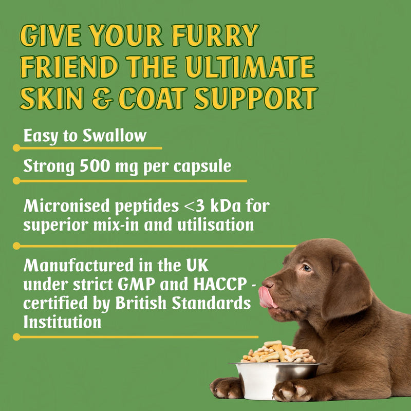 Marine Collagen for Dogs, Supports Dry and Itchy Skin, Shiny Coat & Healthy Gums, Premium Micronised Peptides, Skin Health Dog Supplement, 120 x 500mg Open & Sprinkle Capsules