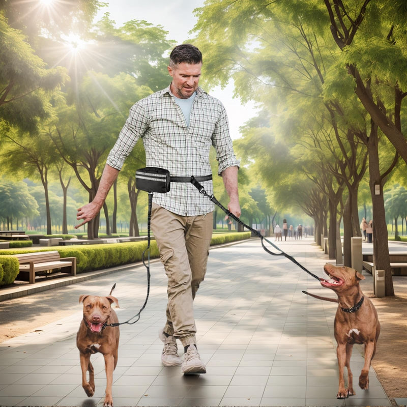 Hands Free Dog Leash with Pouch, Dual Attachment for Two Dogs, Retractable Bungee with Double Padded Handles, Waist-Mounted for Running,Walking, Jogging Friendly Dog Accessories (Black/Silver Gray) Black/Silver Gray