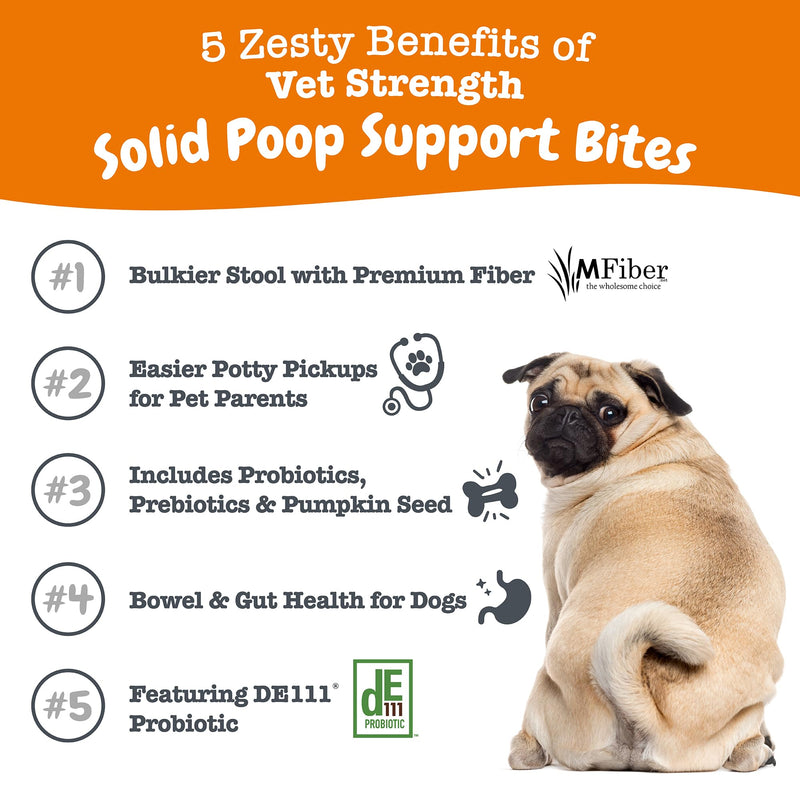 Zesty Paws Solid Poop Support Bites - Dog Stool Hardener - Pumpkin for Dogs with Prebiotics & Probiotics - Veterinarian Formulated Soft Chews - for Diarrhea Relief - 90 Ct - PawsPlanet Australia