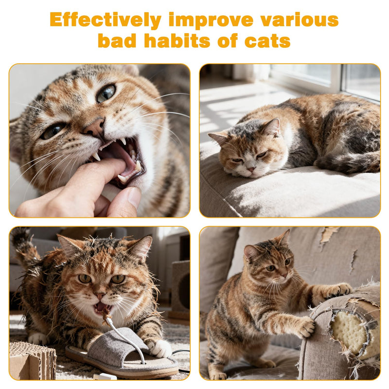 Feather Kitten Silvervine Sticks, 6 Pack Natural Cat Chew Toy with Rope for Teeth Cleaning, Dental Care, Appetite Stimulation and Stress Relief
