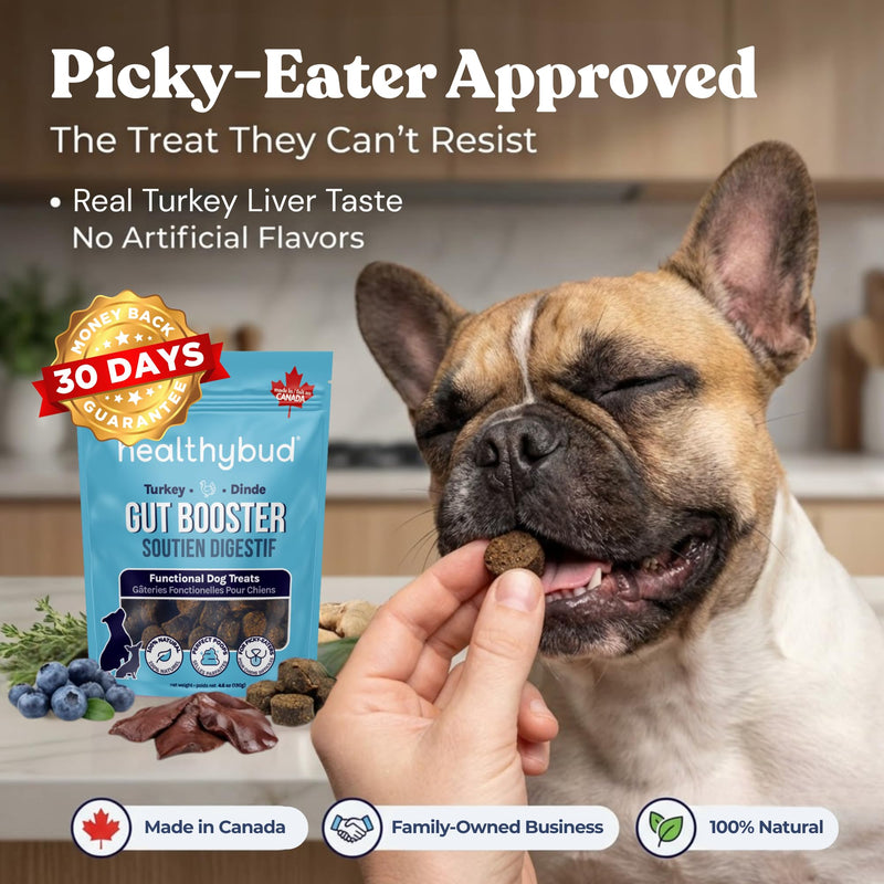 healthybud Turkey Dog Probiotic Chews - Gut Health Support - Prebiotic, Fiber & Vitamin, Puppy Liver Bites for Sensitive Stomach, Dog Stool Hardener (4.6oz per Pack 2-Pack) 4.6oz 2-Pack
