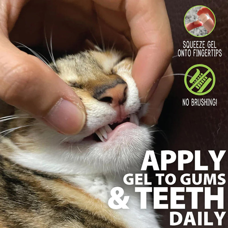 Adore Pet Complete Oral Care Gel for Cats, Salmon, 4 oz 4 Ounce (Pack of 1) Cat Gel Salmon 4 oz