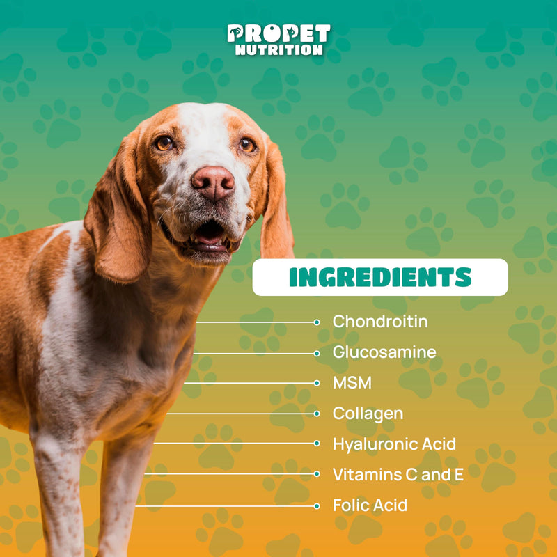 Joint Supplement for Dogs with Glucosamine, Chondroitin, Vitamins, Hyaluronic Acid and MSM. Anti Inflammatory. Supports Joint Structure & Maintains Mobility Adult/Senior/Junior Dogs