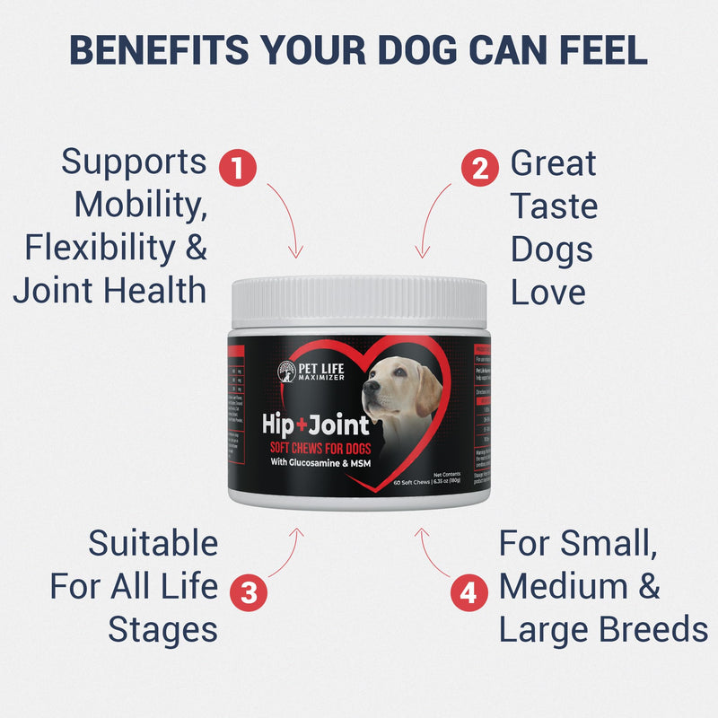 3-in-1 Joint Supplement for Dogs - with Glucosamine, MSM & Green Lipped Mussel - Daily Mobility Support for Small, Medium, Large, and Senior Breeds - Chicken Flavor - 60 Soft Chews