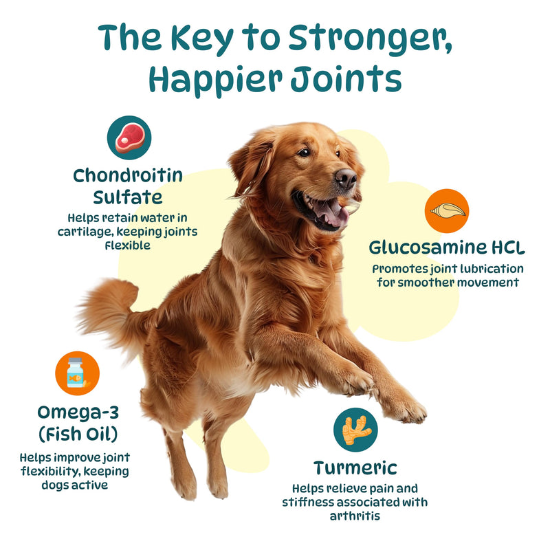 Joint Supplements for Dogs - Dog Hip and Joint Care Chews with Glucosamine, Chondroitin, Green Lipped, Omega-3, Turmeric and MSM for Arthritis, Chicken Flavor (100 Count)