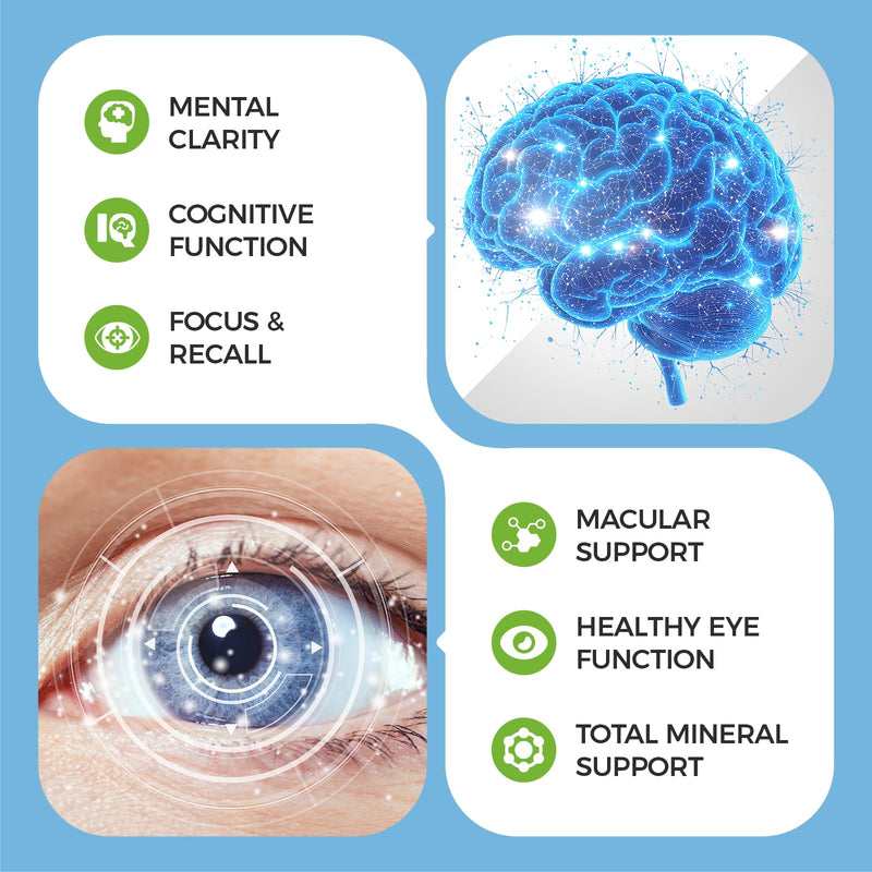 Eye Brain Supplement for Memory & Focus 40mg Lutein Eye Supplements 2 Pack | 14 in 1 Eye Vitamins for Seniors, With Zeaxanthin, Bilberry, Ginkgo Biloba, Lion's Mane & Bacopa Monnieri, Dry Eye Relief 120 Count (Pack of 2)