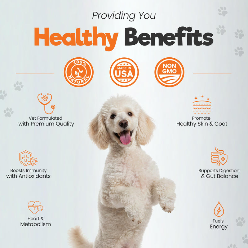 Dog Multivitamin Soft Chews with Probiotics & Omega 3 for Gut, Immune & Skin Support - Daily Wellness Treats for Dogs of All Breeds & Sizes - Peanut Butter Flavor, 60 Count, Made in USA