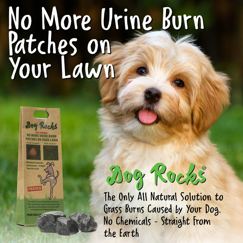 Dog Rocks 100% Natural Urine Patch Preventer - 200g Bag