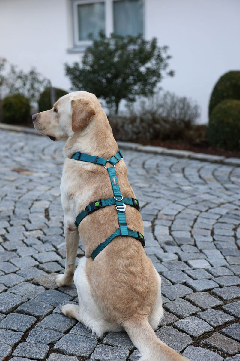 Kerbl 80041 Miami panic harness, escape-proof, petrol, 38-52cm 42 - 55 cm - BeesActive Australia