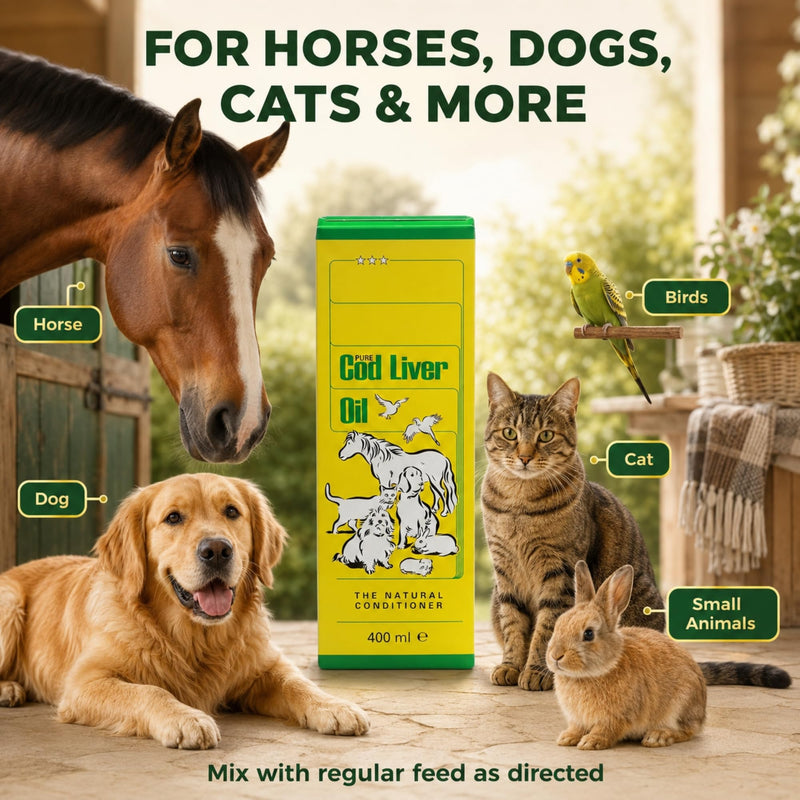 Pure Cod Liver Oil (1 Pack | 400ml) – Omega 3 Supplement for Horses, Birds, Dogs & Cats – Supports Coat, Skin, Joints & Energy