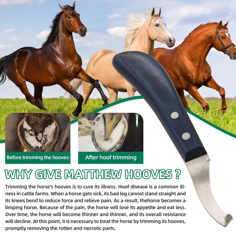Right-Handed Hoof Knife - Ultra-Sharp J2 Steel Blade Ergonomic Non-Slip Wooden Handle for Trimming Horse, Cow, and Goat & Livestock Hoof Care