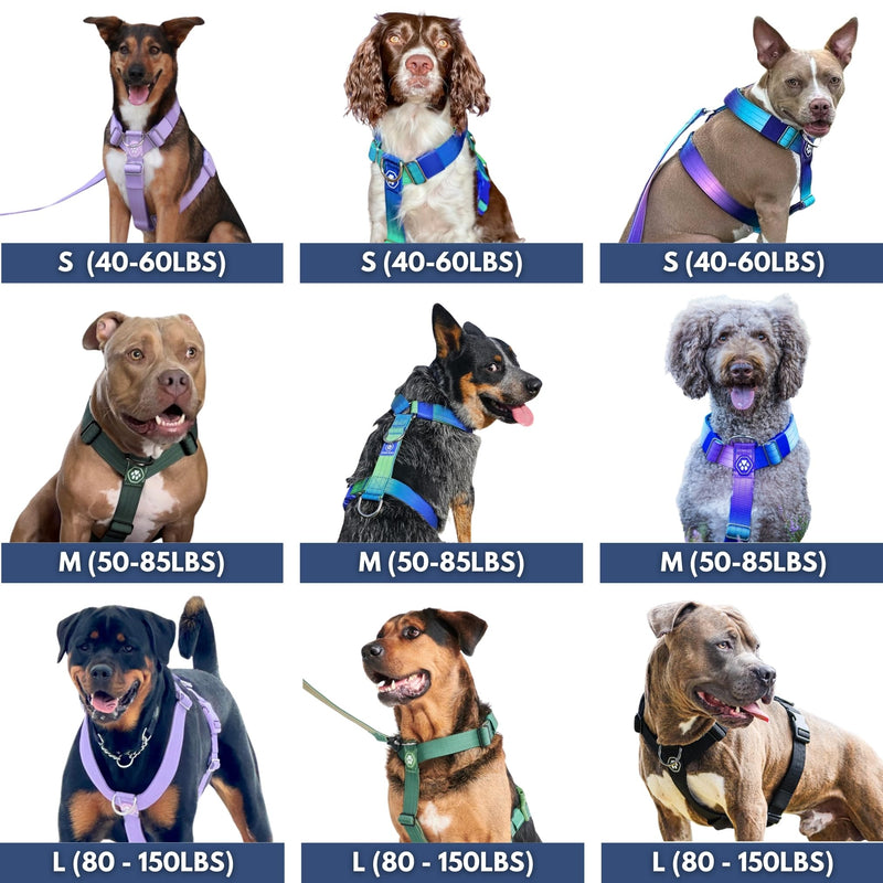 Spark Paws Large Dog No-Pull Harness, Halter Design with Front Clip, Durable and Heavy-Duty for Big and Strong Breeds - Solid Green – L L [36-68kg Green - BeesActive Australia